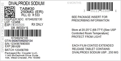 Label (55111 533 01 Divalproex Er 250mg 67046 2021 30)
